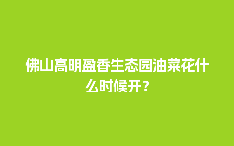 佛山高明盈香生态园油菜花什么时候开？