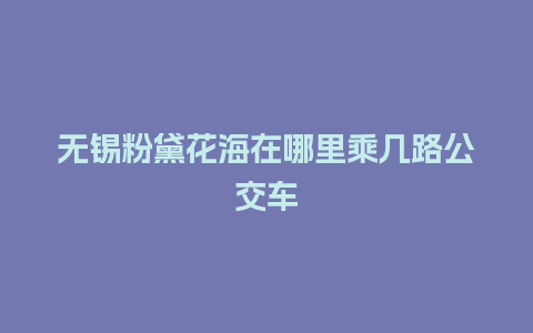 无锡粉黛花海在哪里乘几路公交车