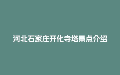 河北石家庄开化寺塔景点介绍