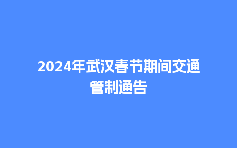 2024年武汉春节期间交通管制通告