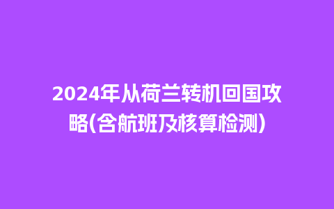 2024年从荷兰转机回国攻略(含航班及核算检测)