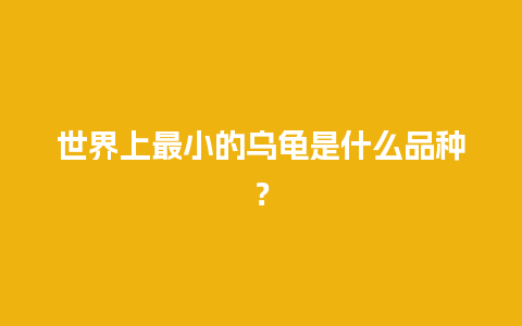 世界上最小的乌龟是什么品种？