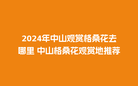 2024年中山观赏格桑花去哪里 中山格桑花观赏地推荐