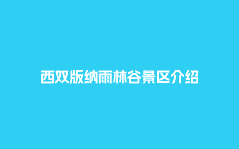 西双版纳雨林谷景区介绍