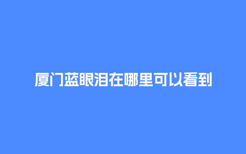 厦门蓝眼泪在哪里可以看到