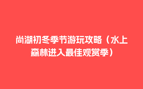 尚湖初冬季节游玩攻略（水上森林进入最佳观赏季）