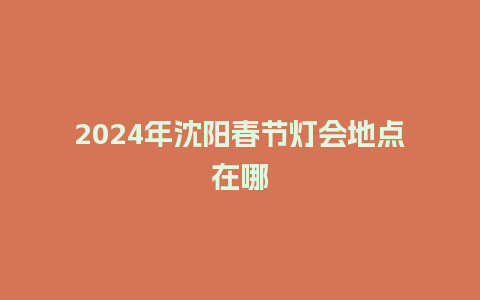 2024年沈阳春节灯会地点在哪