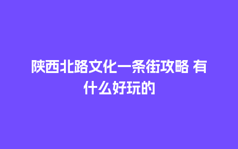 陕西北路文化一条街攻略 有什么好玩的