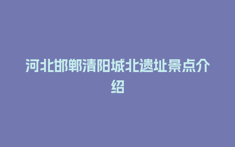 河北邯郸清阳城北遗址景点介绍