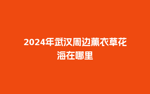 2024年武汉周边薰衣草花海在哪里