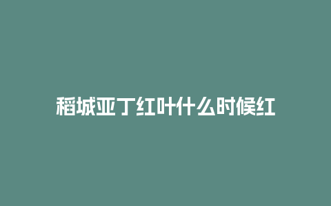 稻城亚丁红叶什么时候红