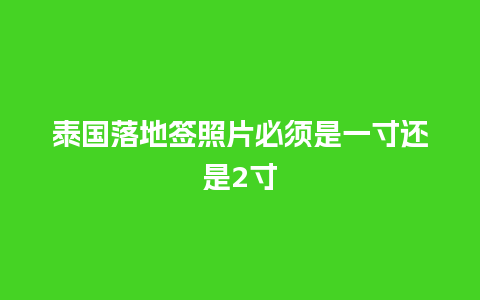 泰国落地签照片必须是一寸还是2寸