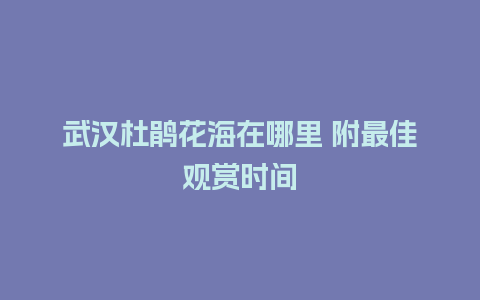 武汉杜鹃花海在哪里 附最佳观赏时间