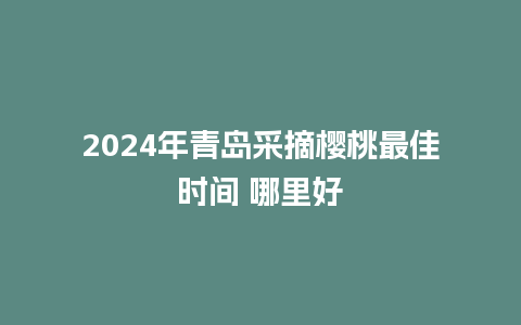 2024年青岛采摘樱桃最佳时间 哪里好