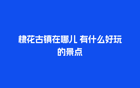 棣花古镇在哪儿 有什么好玩的景点