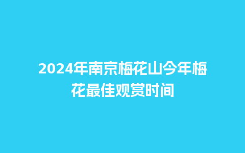 2024年南京梅花山今年梅花最佳观赏时间