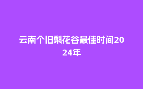 云南个旧梨花谷最佳时间2024年