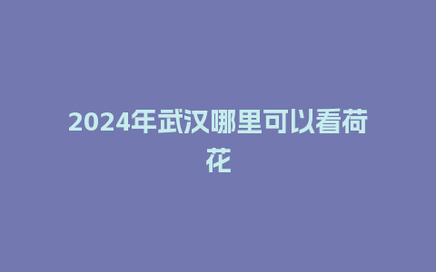 2024年武汉哪里可以看荷花