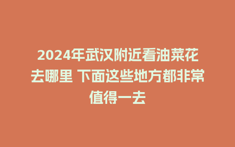 2024年武汉附近看油菜花去哪里 下面这些地方都非常值得一去