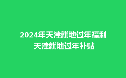 2024年天津就地过年福利 天津就地过年补贴