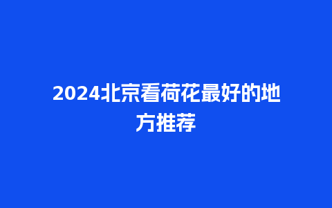 2024北京看荷花最好的地方推荐