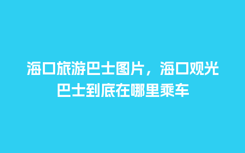 海口旅游巴士图片，海口观光巴士到底在哪里乘车