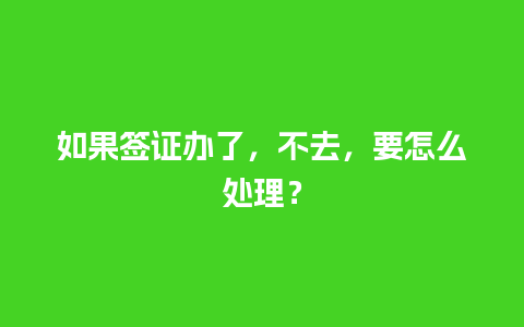 如果签证办了，不去，要怎么处理？