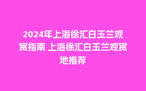 2024年上海徐汇白玉兰观赏指南 上海徐汇白玉兰观赏地推荐