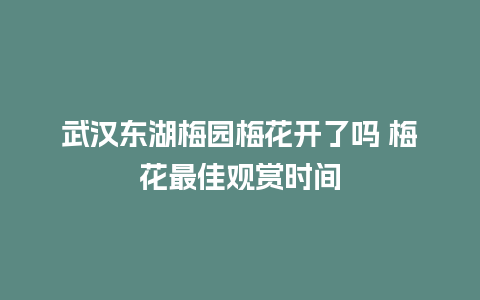 武汉东湖梅园梅花开了吗 梅花最佳观赏时间