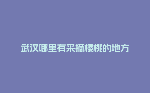 武汉哪里有采摘樱桃的地方