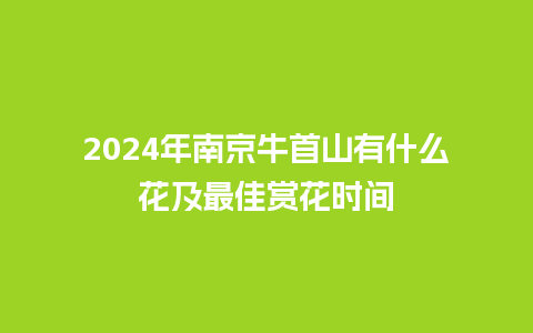 2024年南京牛首山有什么花及最佳赏花时间