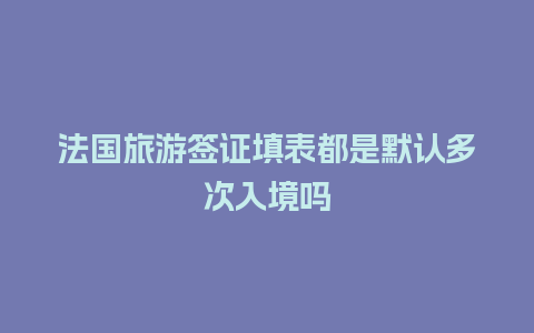 法国旅游签证填表都是默认多次入境吗