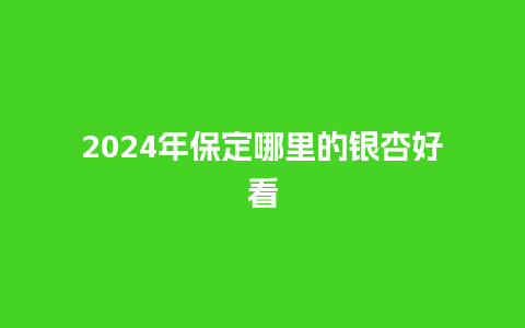 2024年保定哪里的银杏好看