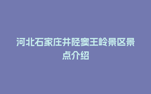 河北石家庄井陉窦王岭景区景点介绍