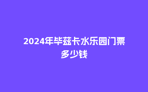 2024年毕兹卡水乐园门票多少钱