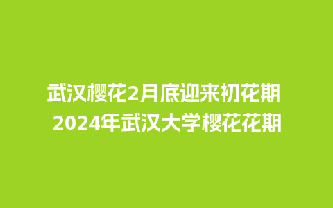 武汉樱花2月底迎来初花期 2024年武汉大学樱花花期