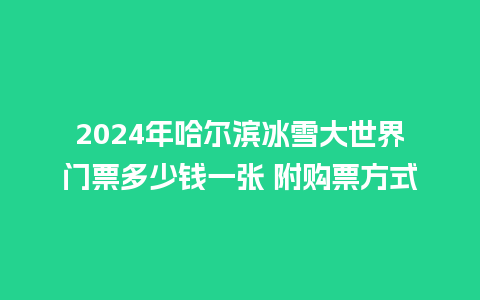 2024年哈尔滨冰雪大世界门票多少钱一张 附购票方式