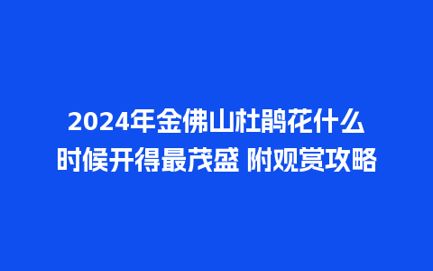 2024年金佛山杜鹃花什么时候开得最茂盛 附观赏攻略