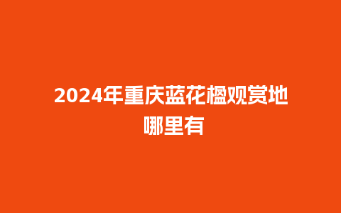 2024年重庆蓝花楹观赏地 哪里有