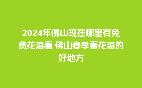 2024年佛山现在哪里有免费花海看 佛山春季看花海的好地方