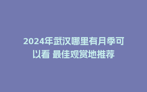 2024年武汉哪里有月季可以看 最佳观赏地推荐