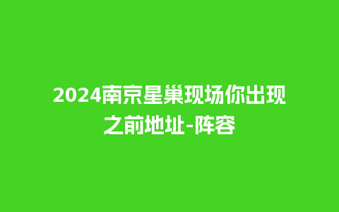 2024南京星巢现场你出现之前地址-阵容