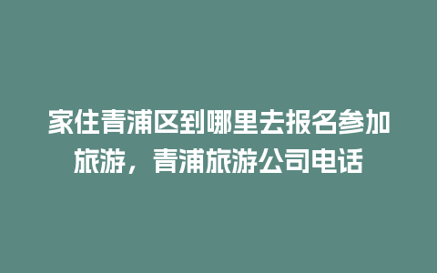 家住青浦区到哪里去报名参加旅游，青浦旅游公司电话