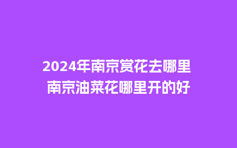 2024年南京赏花去哪里 南京油菜花哪里开的好