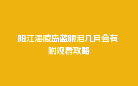 阳江海陵岛蓝眼泪几月会有 附观看攻略