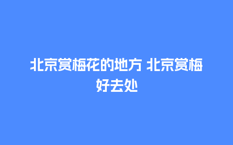 北京赏梅花的地方 北京赏梅好去处