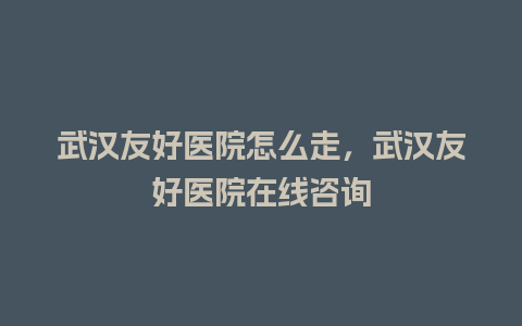 武汉友好医院怎么走，武汉友好医院在线咨询