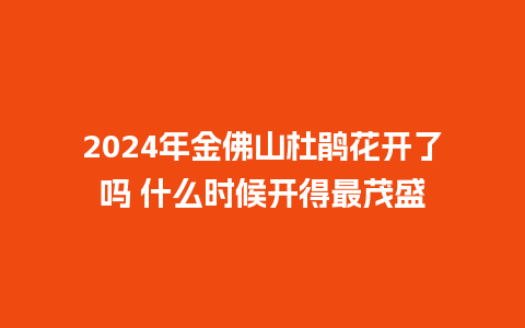 2024年金佛山杜鹃花开了吗 什么时候开得最茂盛