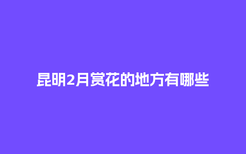 昆明2月赏花的地方有哪些