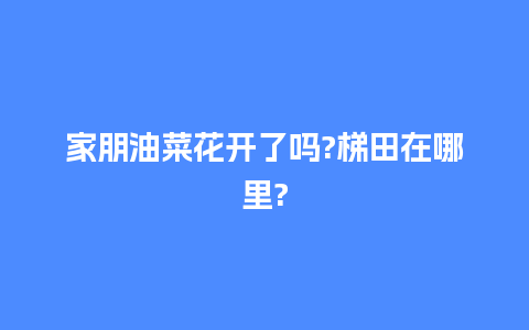 家朋油菜花开了吗?梯田在哪里?